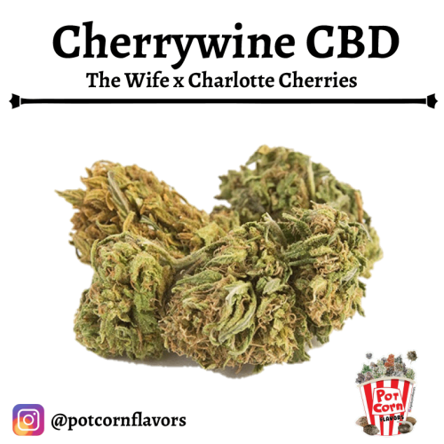 Cherry Wine CBD