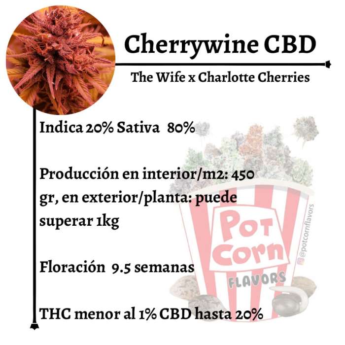 Cherry Wine CBD - Image 2