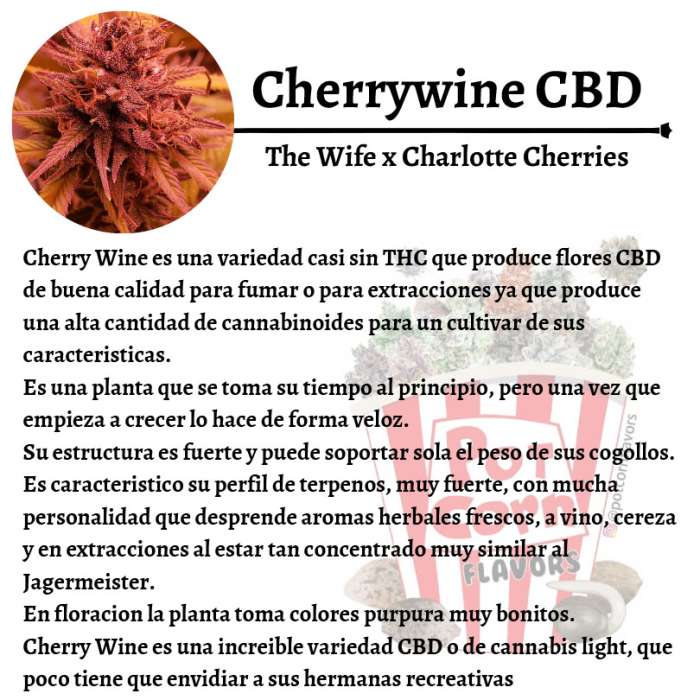 Cherry Wine CBD - Image 3
