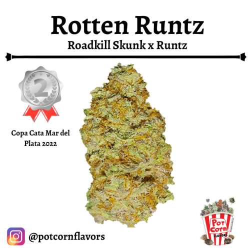 Rotten Runtz