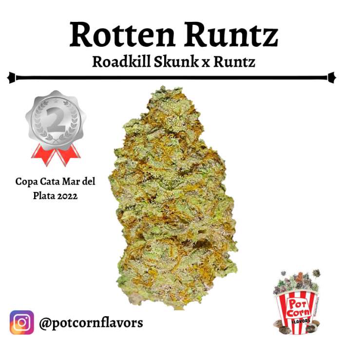 Rotten Runtz
