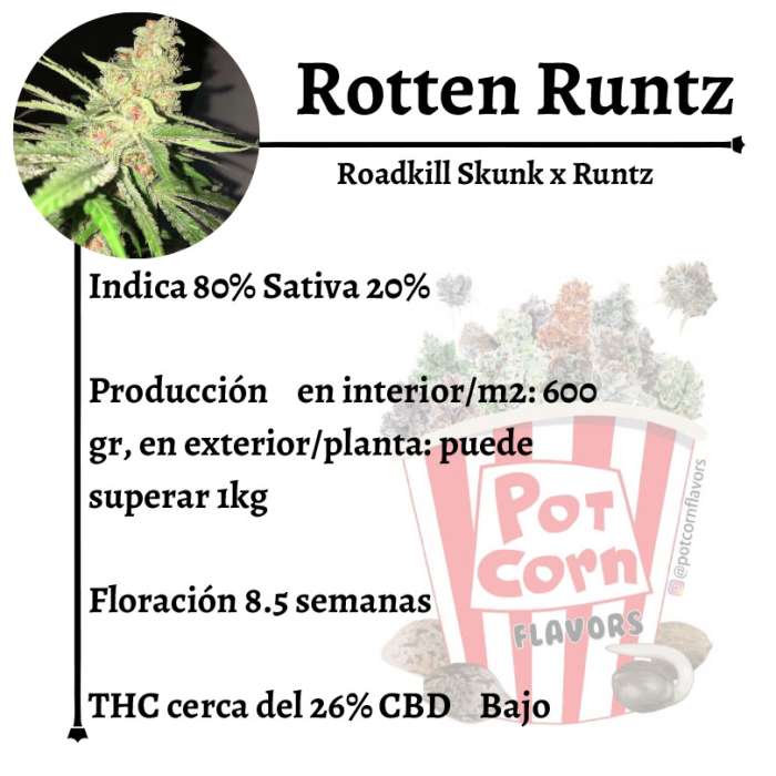 Rotten Runtz - Image 2