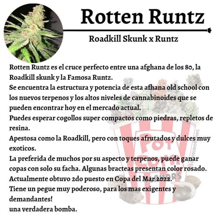 Rotten Runtz - Image 3
