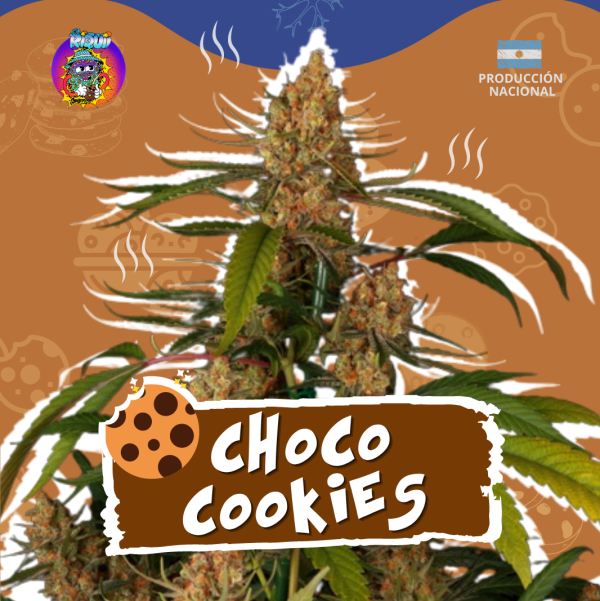 Choco Cookies Auto