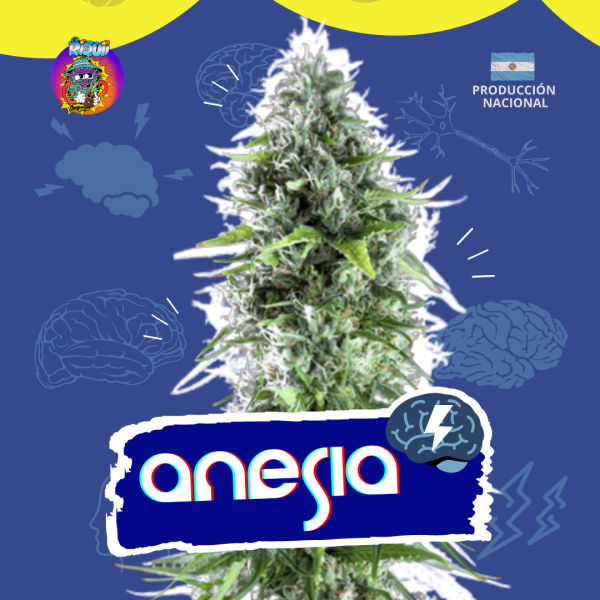 Anesia Auto