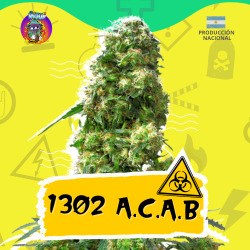 1302 A.C.A.B. Auto