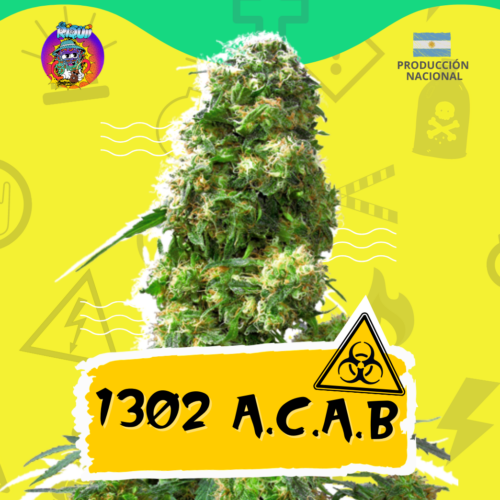 1302 A.C.A.B. Auto