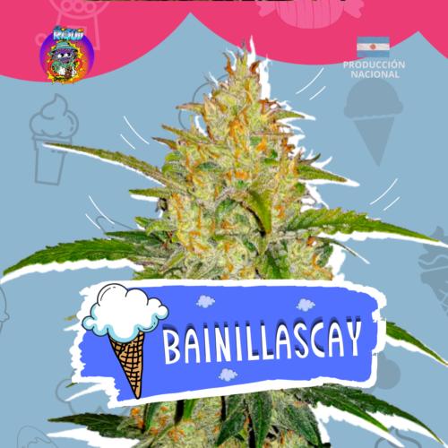 Bainillascay Auto