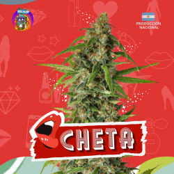 Cheta