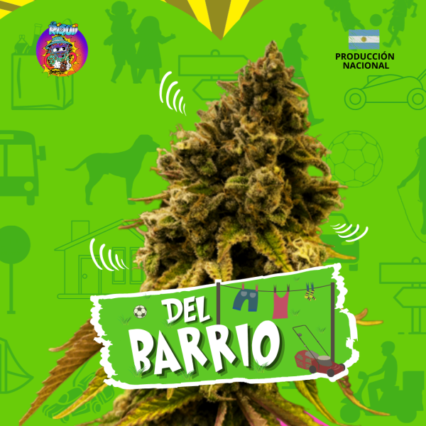 Del Barrio