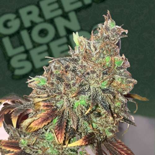 Platinum Widow