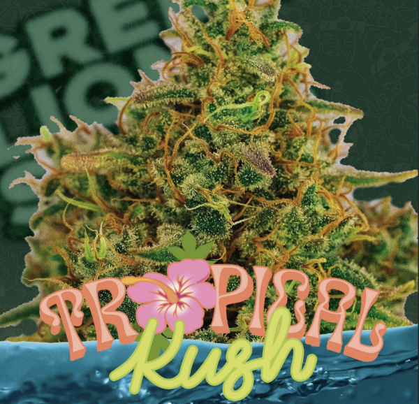 Tropical Kush