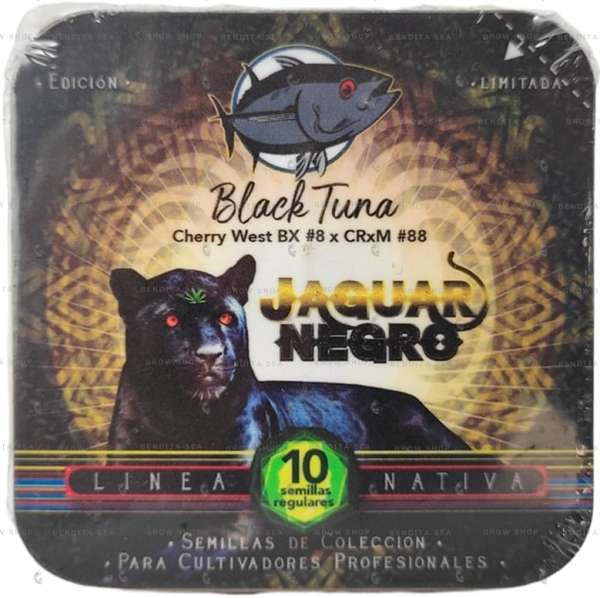 Jaguar Negro Regular