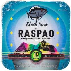 Raspao Regular