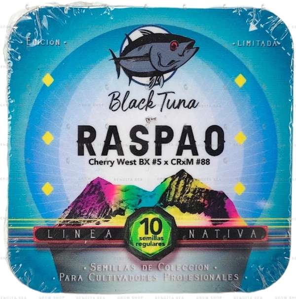 Raspao Regular