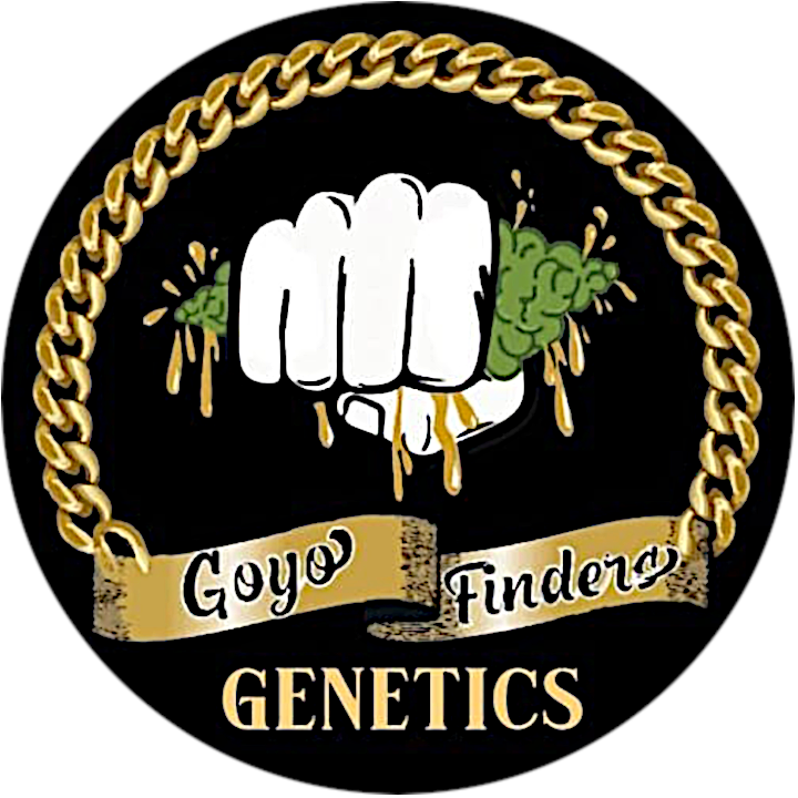 Goyo Finders Genetics