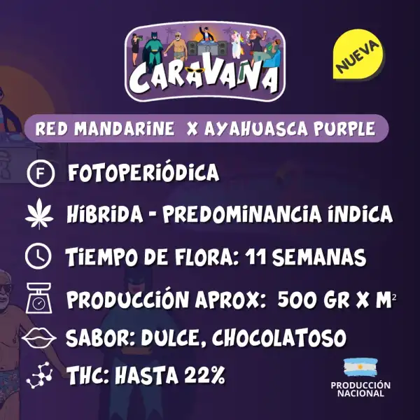 Caravana - Image 2