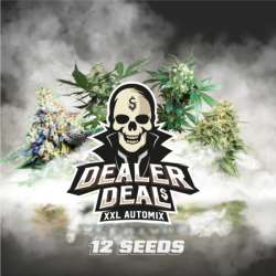 Dealer Deal Auto Mix