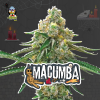 Macumba