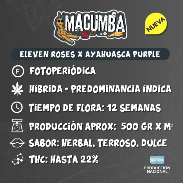 Macumba - Image 2