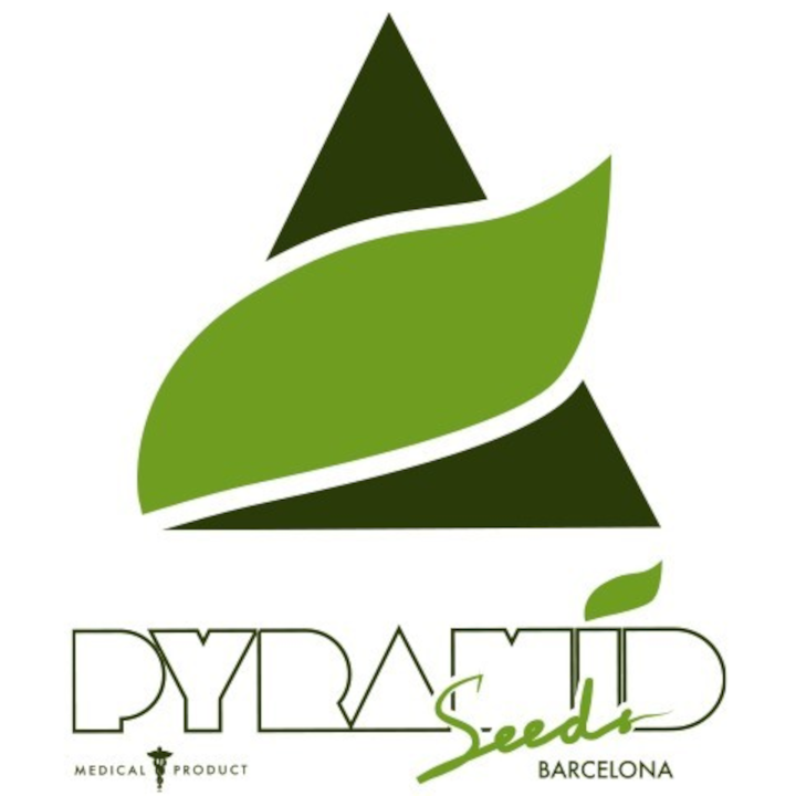 Pyramid