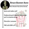 Bruce Banner Auto - Image 2