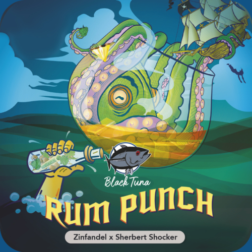 Rum Punch
