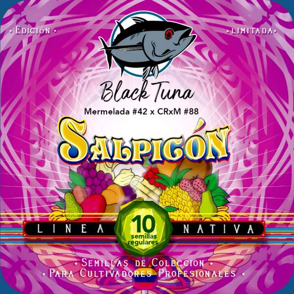 Salpicón Regular