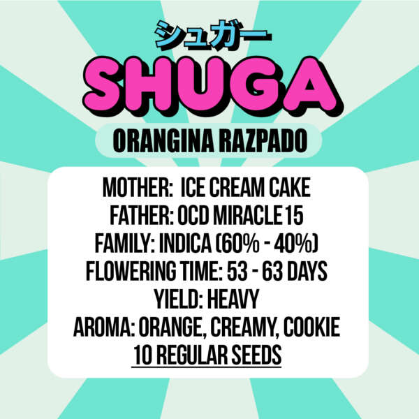 Orangina Razpado - Image 2