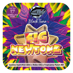 Fig Newtonz