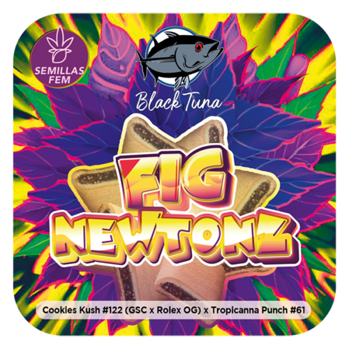 Fig Newtonz