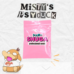 Misty´s Psyduck(Fem) + Waifu(Regular)
