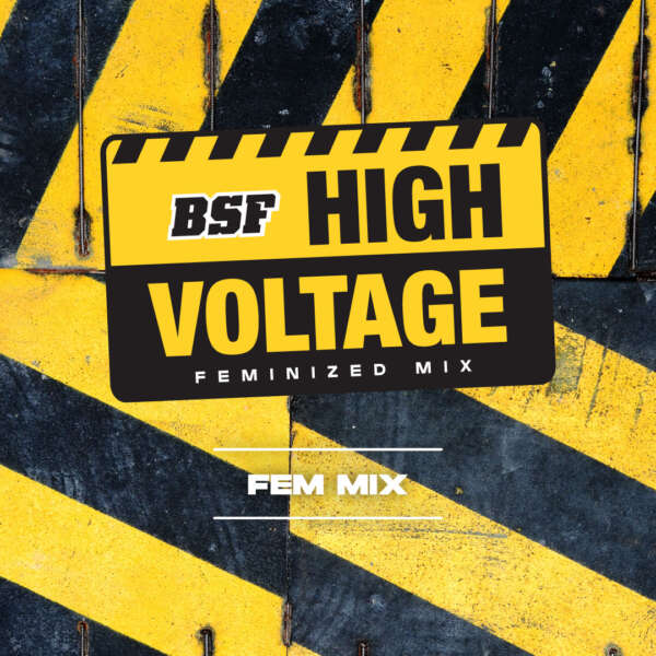 High Voltage Fem Mix