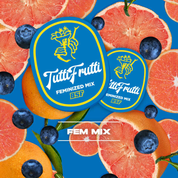 Tutti Fruty Auto Mix
