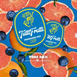 Tutti Fruty Auto Mix