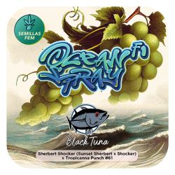 Ocean Spray F1