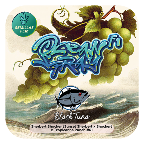 Ocean Spray F1