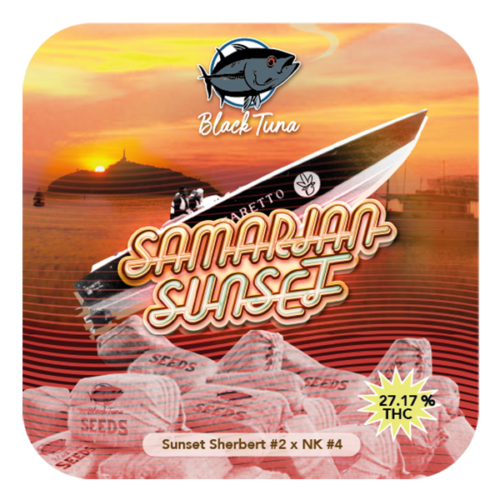 Samarian Sunset