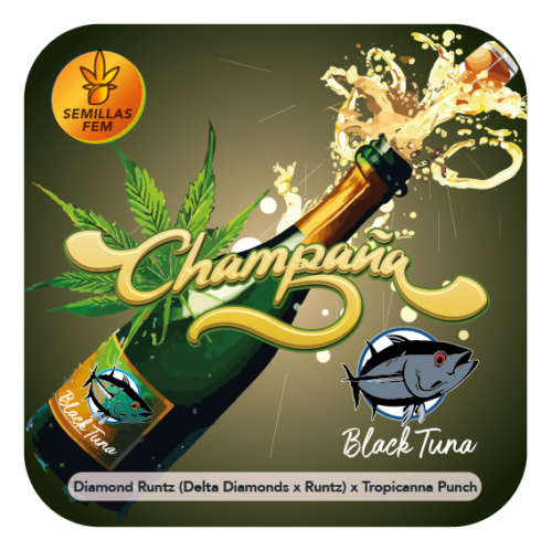 Champaña