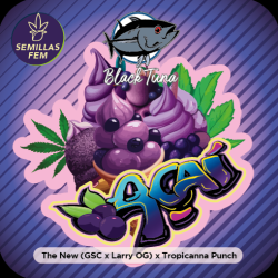 Açaí