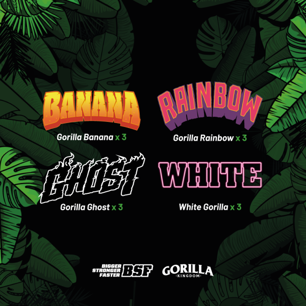 Gorilla Familia Mix - Image 2