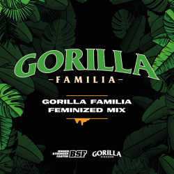 Gorilla Familia Mix