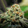The Washer - Image 2