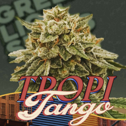 Tropi Tango