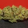 Romulan - Image 3