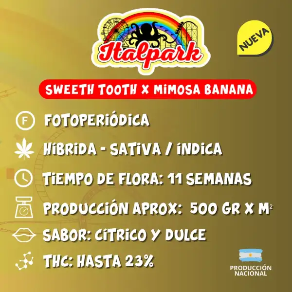 Italpark - Image 2