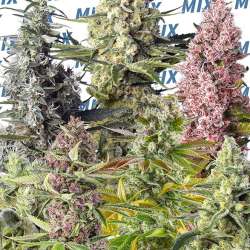 Sweet Mix Foto