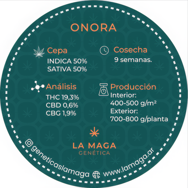 Onora - Image 2
