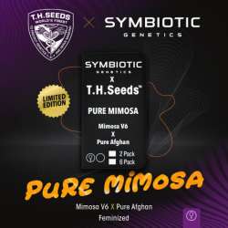 Pure Mimosa Edición Limitada