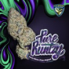Pure Runtzy - Image 3